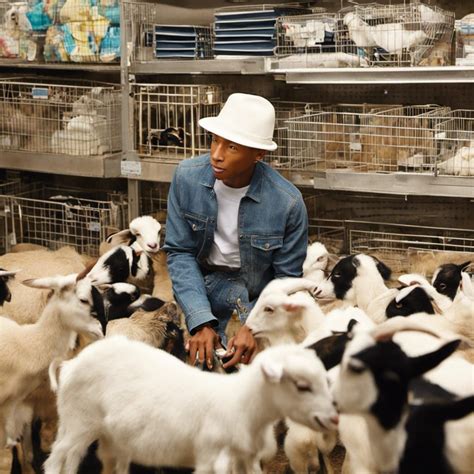 goat Pharrell Williams